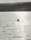 Filename=The_Wait_mkv2096.jpg
Filesize=109KiB
Dimensions=1280x544
Date added=Jul 20, 2025 The_Wait_mkv2096.jpg