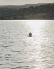 Filename=The_Wait_mkv2097.jpg
Filesize=108KiB
Dimensions=1280x544
Date added=Jul 20, 2025 The_Wait_mkv2097.jpg