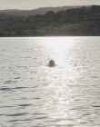 Filename=The_Wait_mkv2100.jpg
Filesize=112KiB
Dimensions=1280x544
Date added=Jul 20, 2025 The_Wait_mkv2100.jpg