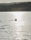 Filename=The_Wait_mkv2101.jpg
Filesize=120KiB
Dimensions=1280x544
Date added=Jul 20, 2025 The_Wait_mkv2101.jpg