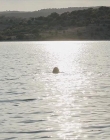 Filename=The_Wait_mkv2102.jpg
Filesize=112KiB
Dimensions=1280x544
Date added=Jul 20, 2025 The_Wait_mkv2102.jpg