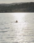 Filename=The_Wait_mkv2103.jpg
Filesize=110KiB
Dimensions=1280x544
Date added=Jul 20, 2025 The_Wait_mkv2103.jpg