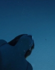 Filename=The_Wait_mkv2165.jpg
Filesize=34KiB
Dimensions=1280x544
Date added=Jul 20, 2025 The_Wait_mkv2165.jpg
