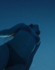 Filename=The_Wait_mkv2167.jpg
Filesize=34KiB
Dimensions=1280x544
Date added=Jul 20, 2025 The_Wait_mkv2167.jpg