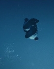 Filename=The_Wait_mkv2171.jpg
Filesize=35KiB
Dimensions=1280x544
Date added=Jul 20, 2025 The_Wait_mkv2171.jpg