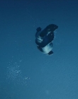 Filename=The_Wait_mkv2172.jpg
Filesize=36KiB
Dimensions=1280x544
Date added=Jul 20, 2025 The_Wait_mkv2172.jpg
