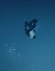 Filename=The_Wait_mkv2173.jpg
Filesize=33KiB
Dimensions=1280x544
Date added=Jul 20, 2025 The_Wait_mkv2173.jpg