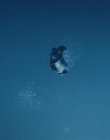 Filename=The_Wait_mkv2175.jpg
Filesize=31KiB
Dimensions=1280x544
Date added=Jul 20, 2025 The_Wait_mkv2175.jpg
