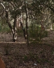 Filename=The_Wait_mkv2300.jpg
Filesize=146KiB
Dimensions=1280x544
Date added=Jul 20, 2025 The_Wait_mkv2300.jpg