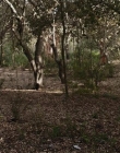 Filename=The_Wait_mkv2301.jpg
Filesize=146KiB
Dimensions=1280x544
Date added=Jul 20, 2025 The_Wait_mkv2301.jpg