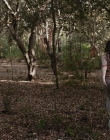 Filename=The_Wait_mkv2302.jpg
Filesize=147KiB
Dimensions=1280x544
Date added=Jul 20, 2025 The_Wait_mkv2302.jpg