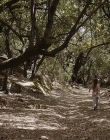 Filename=The_Wait_mkv2326.jpg
Filesize=232KiB
Dimensions=1280x544
Date added=Jul 20, 2025 The_Wait_mkv2326.jpg