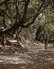 Filename=The_Wait_mkv2327.jpg
Filesize=233KiB
Dimensions=1280x544
Date added=Jul 20, 2025 The_Wait_mkv2327.jpg