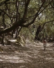 Filename=The_Wait_mkv2328.jpg
Filesize=234KiB
Dimensions=1280x544
Date added=Jul 20, 2025 The_Wait_mkv2328.jpg
