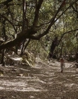 Filename=The_Wait_mkv2329.jpg
Filesize=236KiB
Dimensions=1280x544
Date added=Jul 20, 2025 The_Wait_mkv2329.jpg
