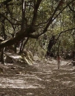 Filename=The_Wait_mkv2330.jpg
Filesize=235KiB
Dimensions=1280x544
Date added=Jul 20, 2025 The_Wait_mkv2330.jpg