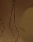 Filename=The_Wait_mkv2399.jpg
Filesize=47KiB
Dimensions=1280x544
Date added=Jul 20, 2025 The_Wait_mkv2399.jpg