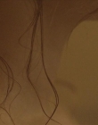 Filename=The_Wait_mkv2400.jpg
Filesize=46KiB
Dimensions=1280x544
Date added=Jul 20, 2025 The_Wait_mkv2400.jpg
