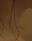 Filename=The_Wait_mkv2404.jpg
Filesize=44KiB
Dimensions=1280x544
Date added=Jul 20, 2025 The_Wait_mkv2404.jpg