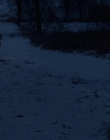 Filename=The_Innocents_mkv3225.jpg
Filesize=60KiB
Dimensions=1280x688
Date added=Jul 20, 2025 The_Innocents_mkv3225.jpg