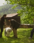 Filename=Blanche_Comme_Neige_mkv2005.jpg
Filesize=1338KiB
Dimensions=1916x956
Date added=Jul 20, 2025 Blanche_Comme_Neige_mkv2005.jpg