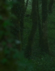 Filename=Blanche_Comme_Neige_mkv5518.jpg
Filesize=843KiB
Dimensions=1916x956
Date added=Jul 20, 2025 Blanche_Comme_Neige_mkv5518.jpg