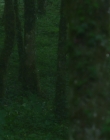 Filename=Blanche_Comme_Neige_mkv5523.jpg
Filesize=807KiB
Dimensions=1916x956
Date added=Jul 20, 2025 Blanche_Comme_Neige_mkv5523.jpg