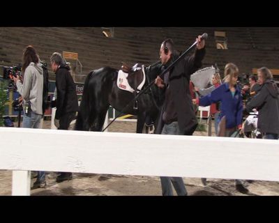 KMP-DVD0341.jpg