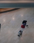 Filename=The_Wait_mkv0631.jpg
Filesize=70KiB
Dimensions=1280x544
Date added=Jun 13, 2018 The_Wait_mkv0631.jpg