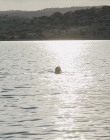 Filename=The_Wait_mkv2099.jpg
Filesize=112KiB
Dimensions=1280x544
Date added=Jun 13, 2018 The_Wait_mkv2099.jpg