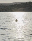 Filename=The_Wait_mkv2100.jpg
Filesize=112KiB
Dimensions=1280x544
Date added=Jun 13, 2018 The_Wait_mkv2100.jpg