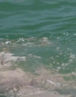 Filename=The_Wait_mkv3263.jpg
Filesize=65KiB
Dimensions=1280x544
Date added=Jun 13, 2018 The_Wait_mkv3263.jpg