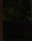 Filename=The_Wait_mkv3785.jpg
Filesize=41KiB
Dimensions=1280x544
Date added=Jun 13, 2018 The_Wait_mkv3785.jpg