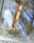 KMP-DVD0093.jpg