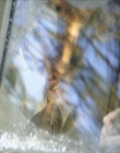 KMP-DVD0099.jpg