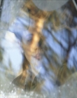 KMP-DVD0103.jpg