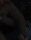 Filename=The_Innocents_mkv2356.jpg
Filesize=33KiB
Dimensions=1280x688
Date added=Aug 27, 2018 The_Innocents_mkv2356.jpg