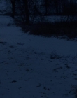 Filename=The_Innocents_mkv3224.jpg
Filesize=61KiB
Dimensions=1280x688
Date added=Aug 27, 2018 The_Innocents_mkv3224.jpg