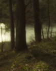Blanche_Comme_Neige_mkv0449.jpg