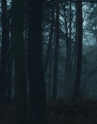 Blanche_Comme_Neige_mkv0485.jpg