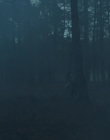 Blanche_Comme_Neige_mkv0499.jpg