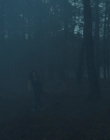 Blanche_Comme_Neige_mkv0501.jpg