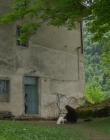 Filename=Blanche_Comme_Neige_mkv1322.jpg
Filesize=1308KiB
Dimensions=1916x956
Date added=Jan 23, 2020 Blanche_Comme_Neige_mkv1322.jpg