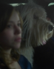 Filename=Blanche_Comme_Neige_mkv1447.jpg
Filesize=608KiB
Dimensions=1916x956
Date added=Jan 23, 2020 Blanche_Comme_Neige_mkv1447.jpg