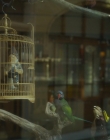 Blanche_Comme_Neige_mkv2483.jpg
