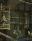 Blanche_Comme_Neige_mkv2485.jpg