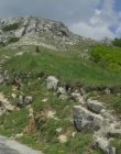 Filename=Blanche_Comme_Neige_mkv4343.jpg
Filesize=1252KiB
Dimensions=1916x956
Date added=Jan 23, 2020 Blanche_Comme_Neige_mkv4343.jpg