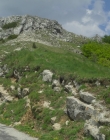Filename=Blanche_Comme_Neige_mkv4344.jpg
Filesize=1310KiB
Dimensions=1916x956
Date added=Jan 23, 2020 Blanche_Comme_Neige_mkv4344.jpg
