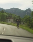 Filename=Blanche_Comme_Neige_mkv4970.jpg
Filesize=948KiB
Dimensions=1916x956
Date added=Jan 23, 2020 Blanche_Comme_Neige_mkv4970.jpg