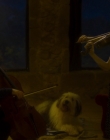 Filename=Blanche_Comme_Neige_mkv5223.jpg
Filesize=747KiB
Dimensions=1916x956
Date added=Jan 23, 2020 Blanche_Comme_Neige_mkv5223.jpg